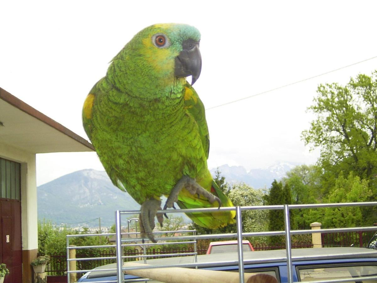 Le Paon Bleu Annecy Poisy Bed & Breakfast Ngoại thất bức ảnh